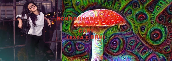герыч Каменногорск