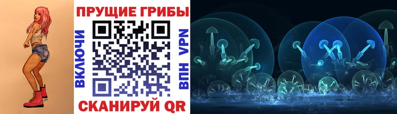 Купить где  Кизел  Галлюциногенные грибы Psilocybe 