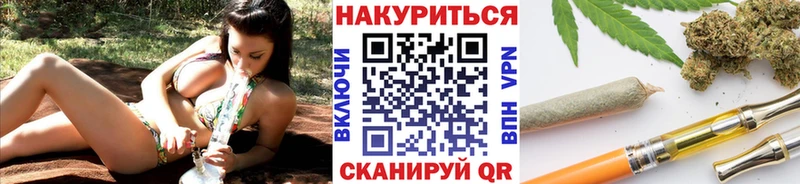Каннабис сатива  Купить закладки  Кизел 